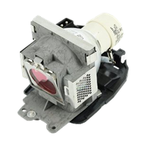 BENQ 5J.08G01.001 Lamp with housing