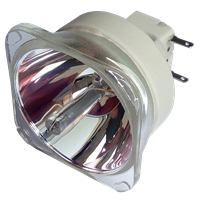 CANON LV-8320 Lamp without housing