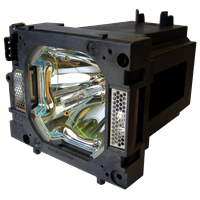 DONGWON DLP-765S Lamp with housing