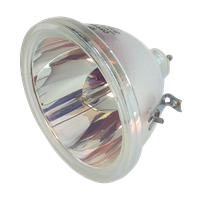 LG RZ-52SZ60DB Lamp without housing