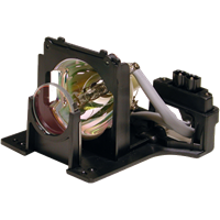 OPTOMA BL-FU250A (SP.86501.001) Lamp with housing