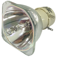 PHILIPS-UHP 260/220W 1.0 E20.9 Lamp without housing