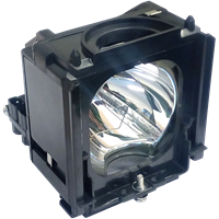 SAMSUNG PT-61DL34X/SMS Lamp with housing