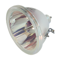 SANYO PLC-XF21E Lamp without housing