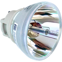 VIEWSONIC PS501W Lamp without housing